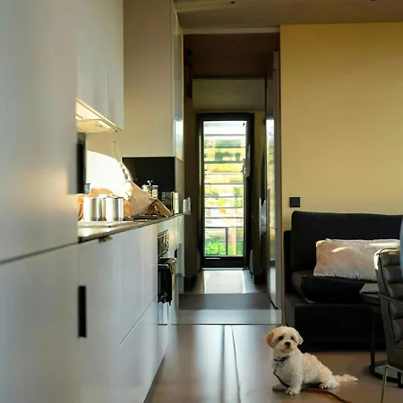 Modern By The Cross-country Trails *